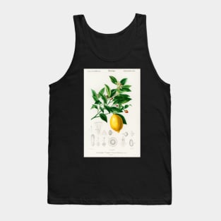 Lemon print Tank Top